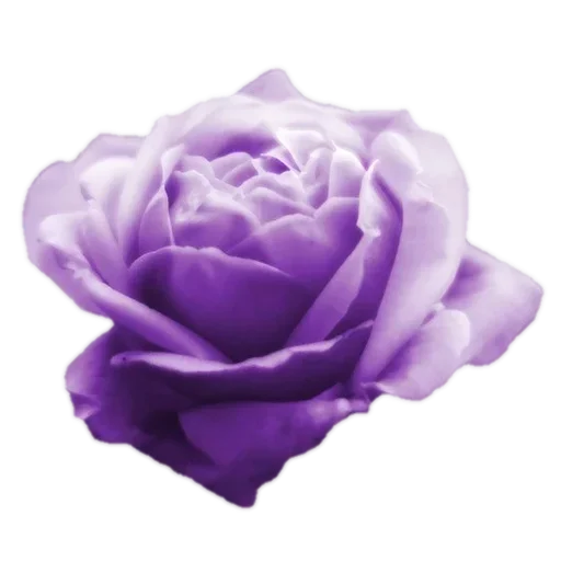 Стикер 9