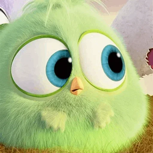 - ᗷY 𓉮 . Baby Angry Birds 3