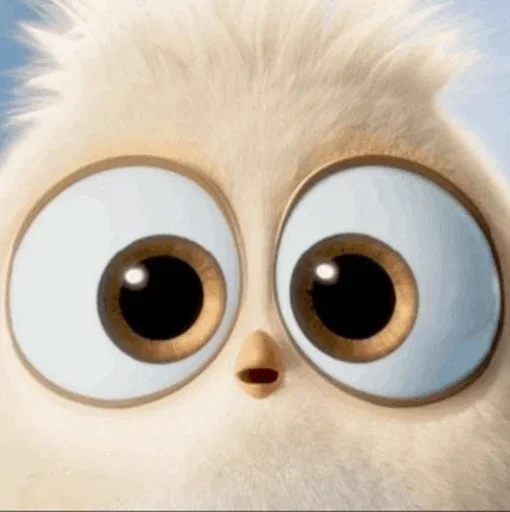 - ᗷY 𓉮 . Baby Angry Birds 5