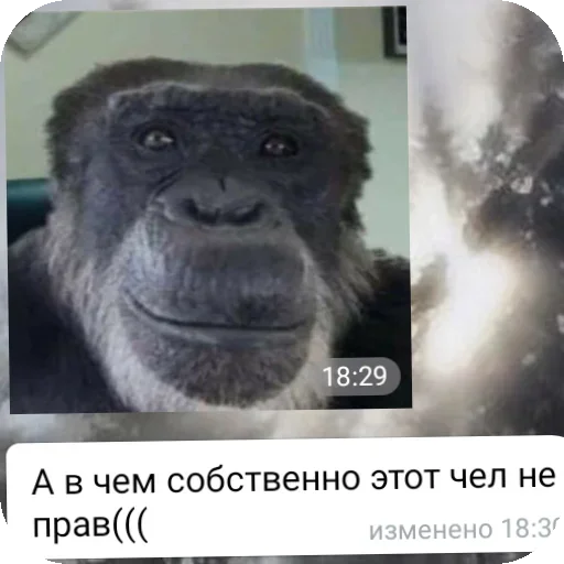 Стикер 23