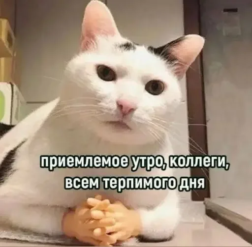 Стикер 13