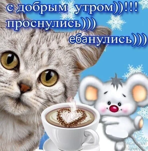 Стикер 20