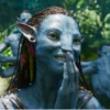 Avatar 6