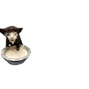Baby memes 2