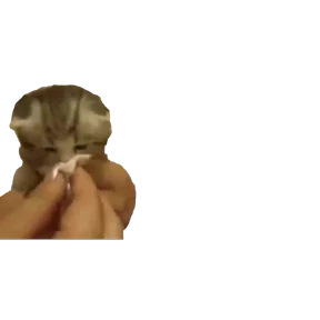 Baby memes 5