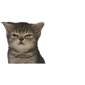 Baby memes 6