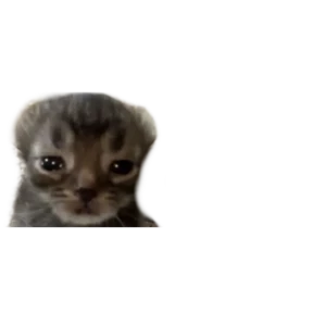 Стикер 15