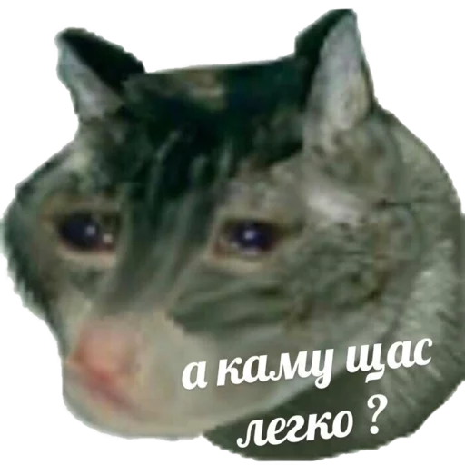 хейтеры сосатб 3