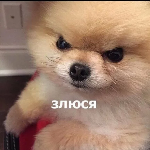 Стикер 14