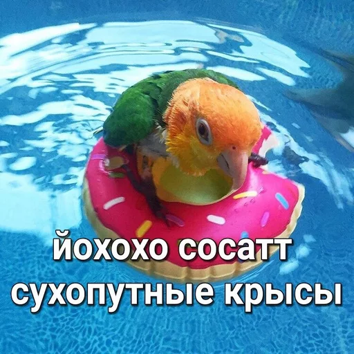 Стикер 15