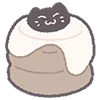 cute cats 4