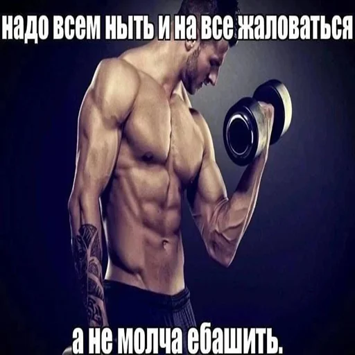 бидлон 6