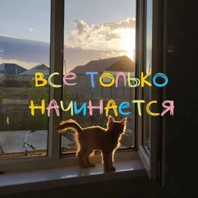 Стикер 24