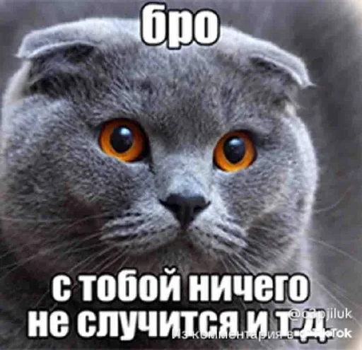 bro_you_will_die