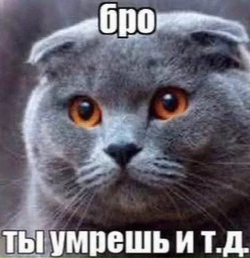 bro_you_will_die 2