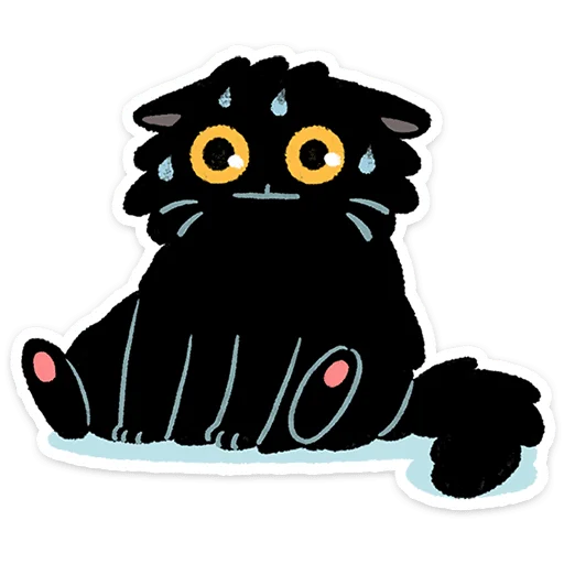 Кот Кефир 1