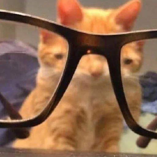 кис кис я котик ты котик 5