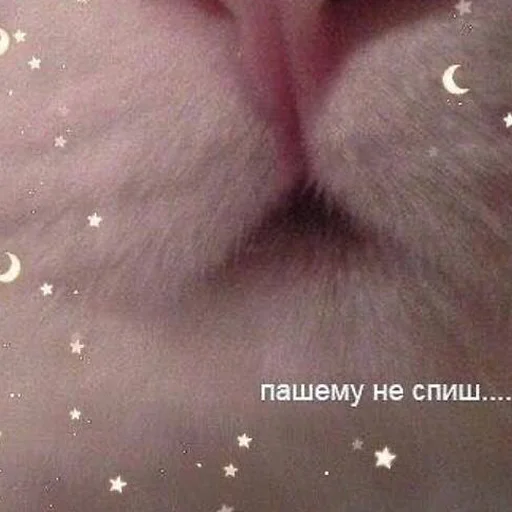Стикер 22
