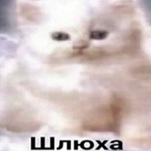 Стикер 23