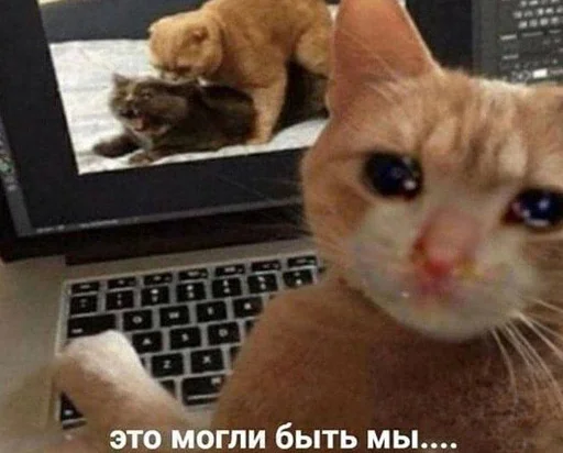 Стикер 24