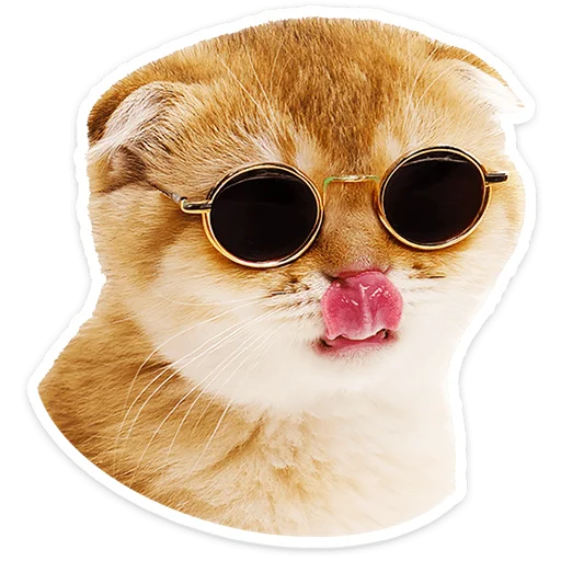 Котятки 4