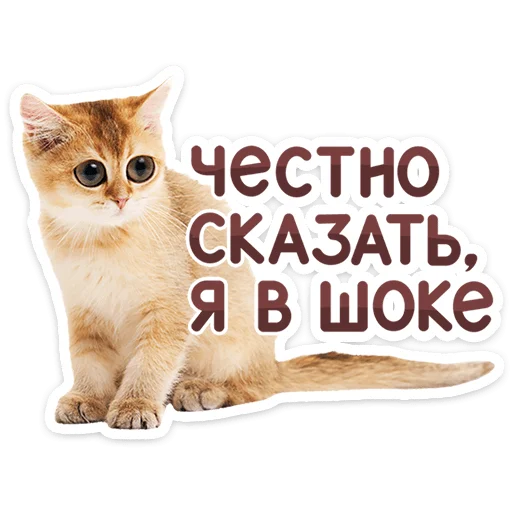 Стикер 8