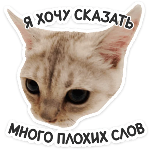 Стикер 9