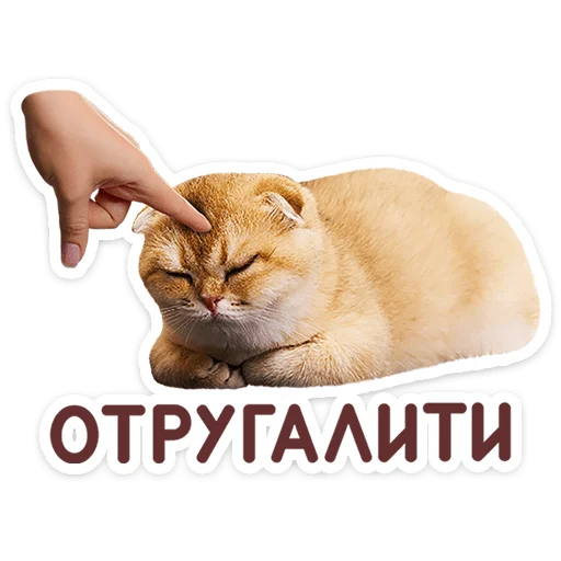 Стикер 10