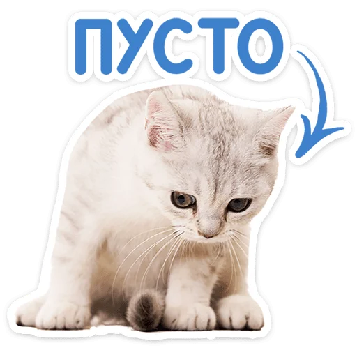 Стикер 14