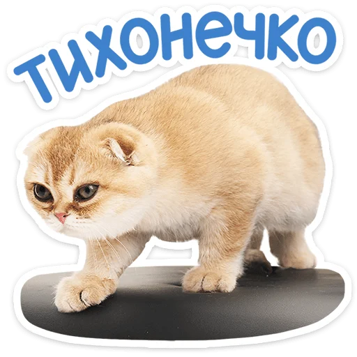 Стикер 16