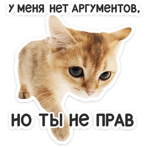 Стикер 19