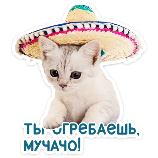 Стикер 20