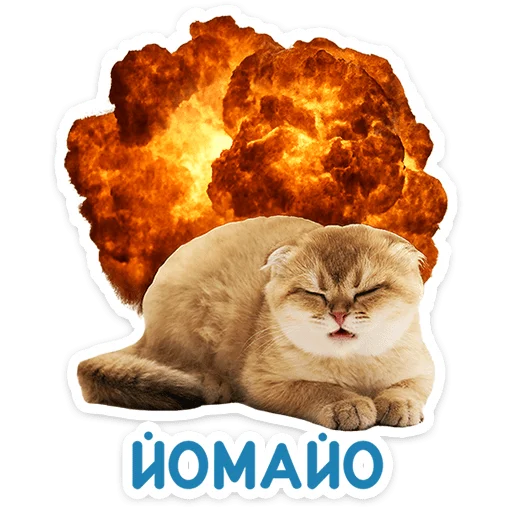 Стикер 21