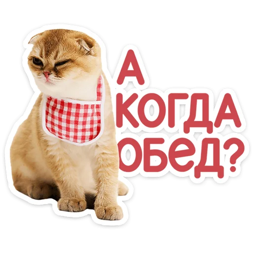Стикер 23