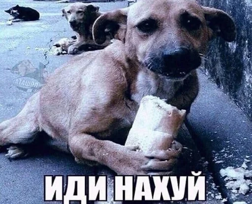 Стикер 20