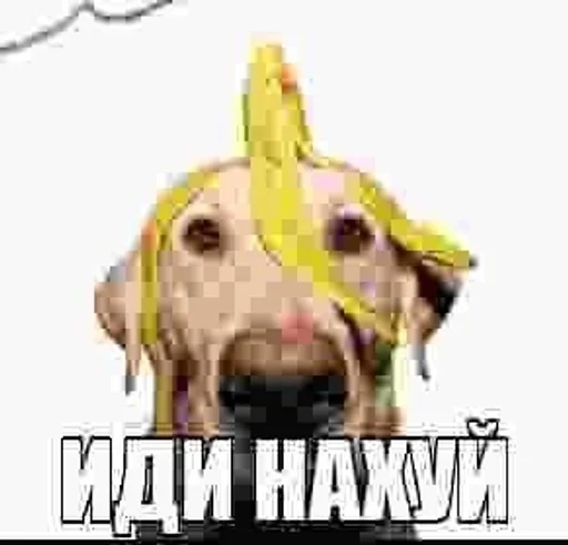 Стикер 23