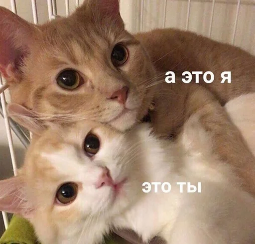 Стикер 7