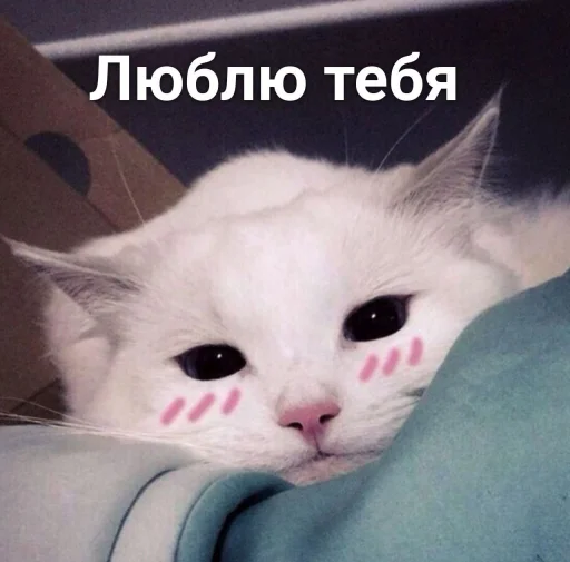 Стикер 8