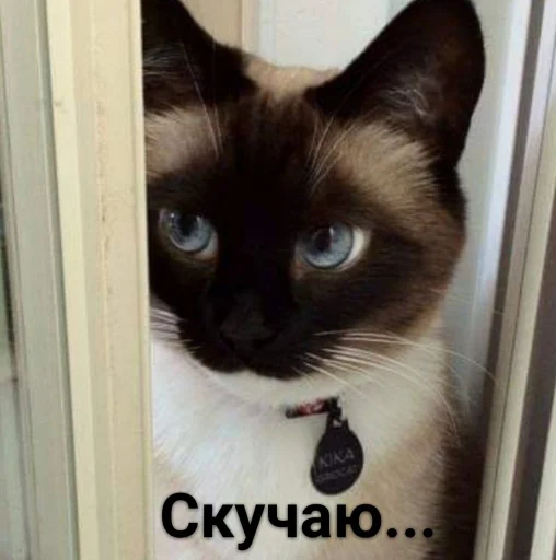 Стикер 9