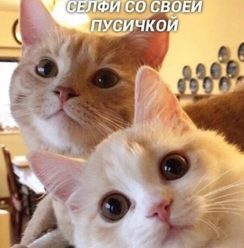 Стикер 10