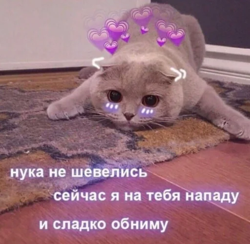 Стикер 11