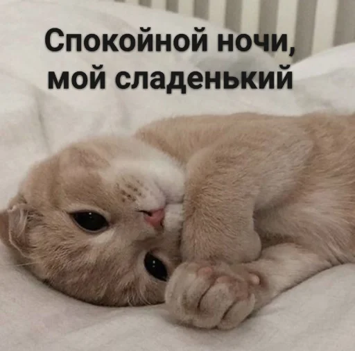 Стикер 12