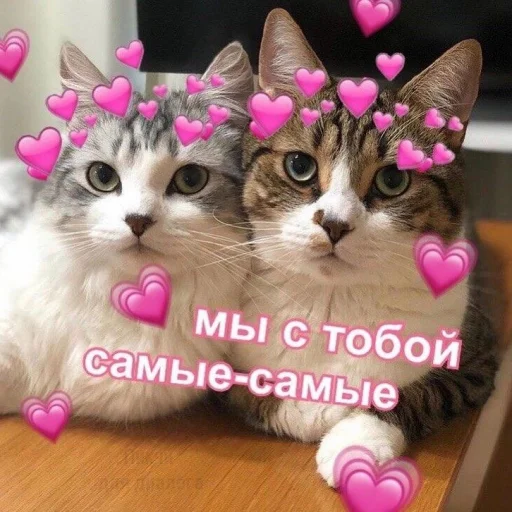 Стикер 13