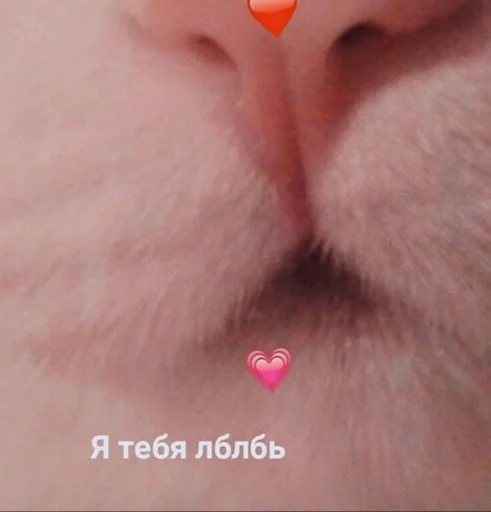 Стикер 14