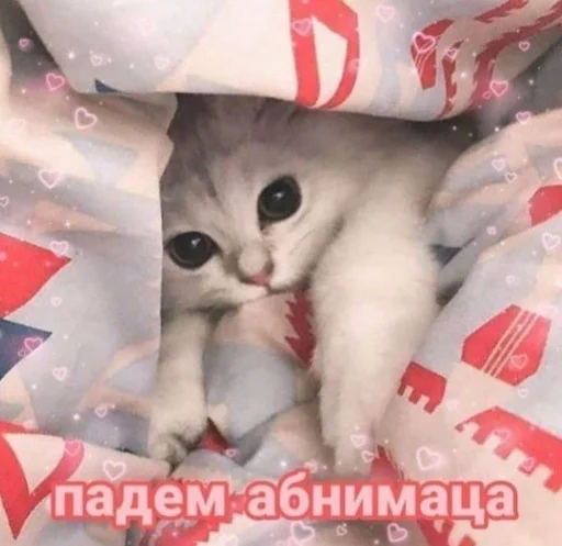 Стикер 15