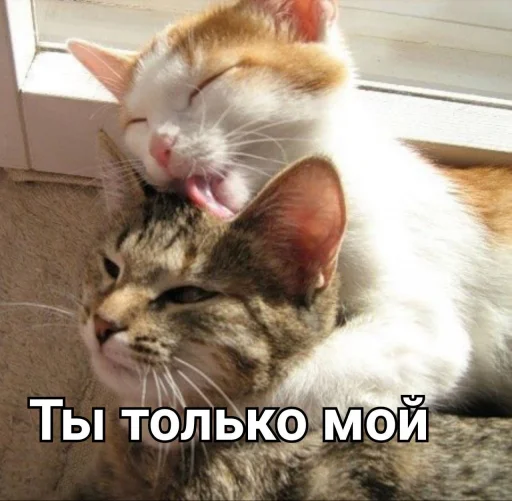Стикер 16