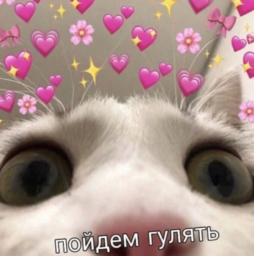 Стикер 17