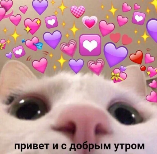 Стикер 19