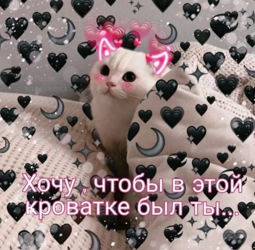 Стикер 21