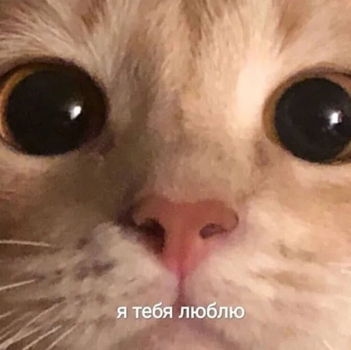 Стикер 22